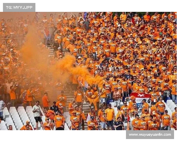 揭秘荷兰队世界杯未穿橙色战袍背后的五大原因与隐藏故事