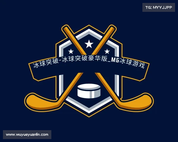 解读冰球突破-冰球突破豪华版_MG冰球游戏